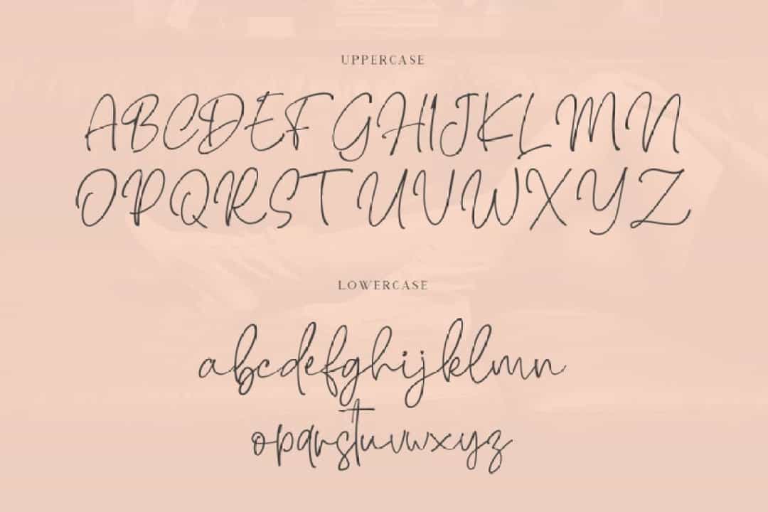 Brendria Handwritten Signature Font Image 5