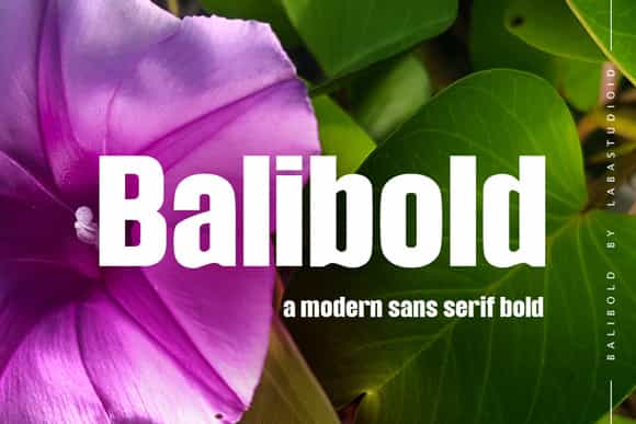 Balibold Sans Serif Typeface Image 4