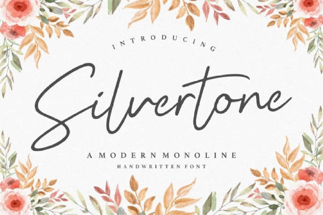 Silvertone Monoline Handwritten Font Image 4