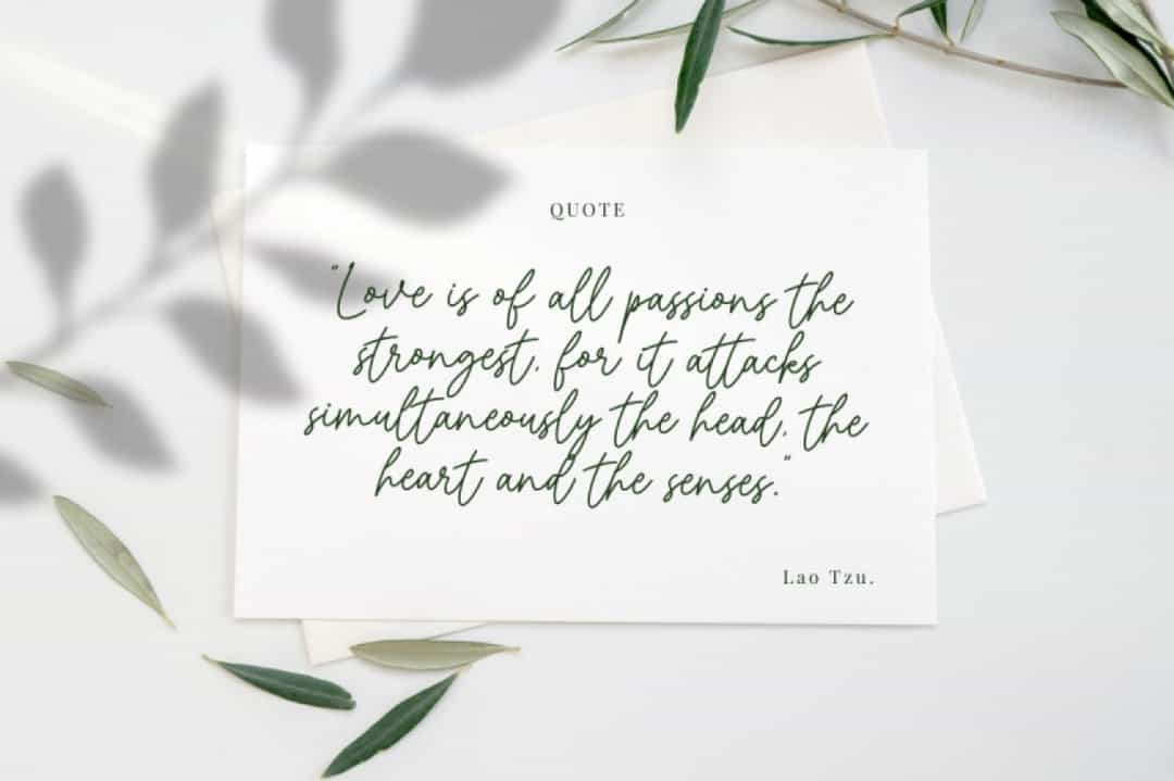 Whitney Melody Stylish Signature Font Image 6