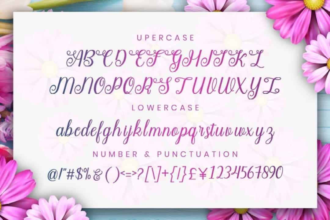 Angella Calligraphy Script Font Image 3