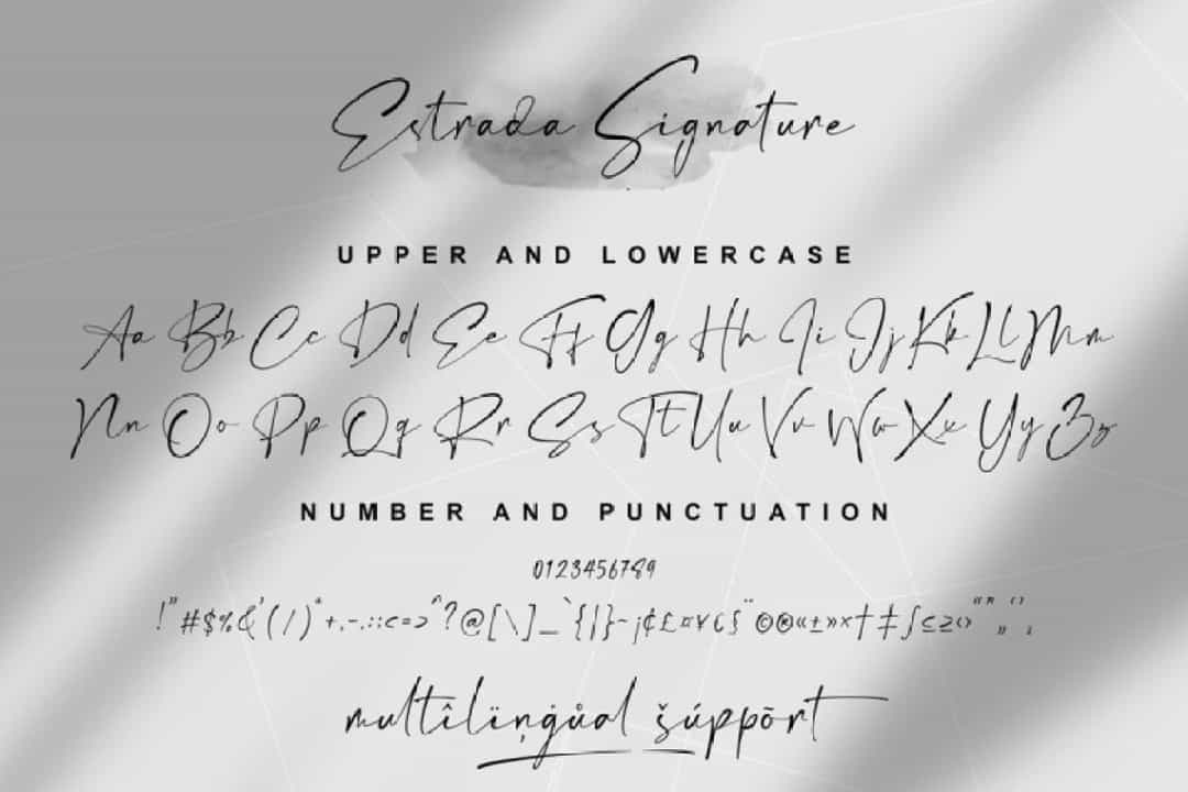 Estrada Luxury Signature Font Image 3