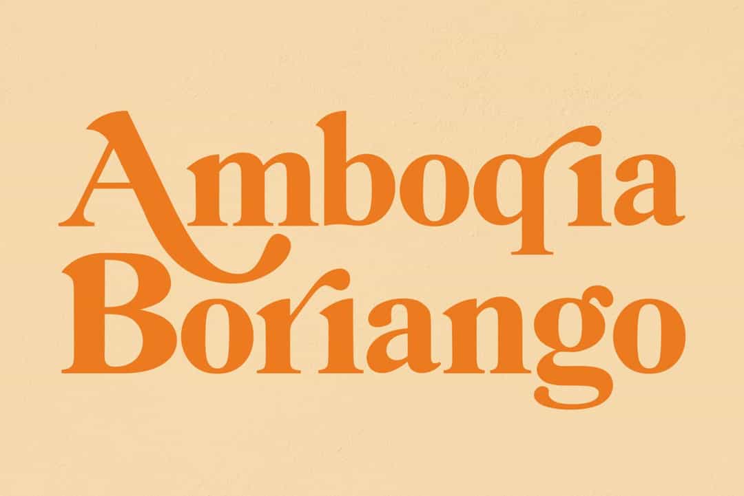 Amboqia Boriango Serif Display Font Image 1
