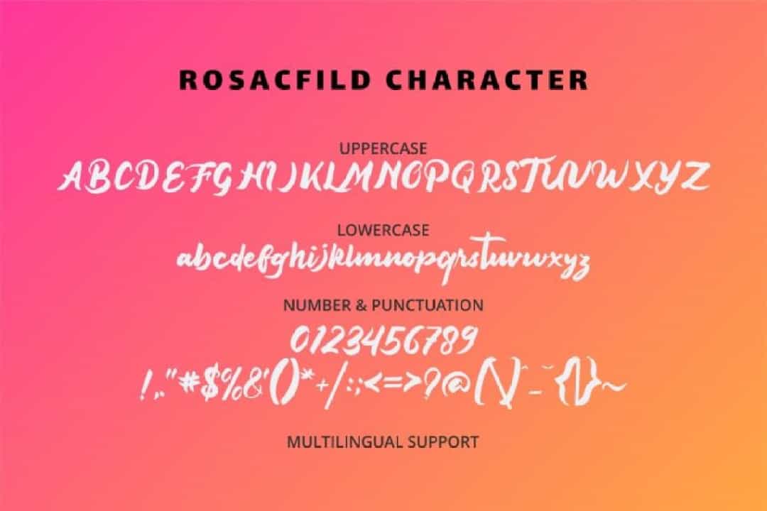 Rosacfild Bold Script Font Image 3