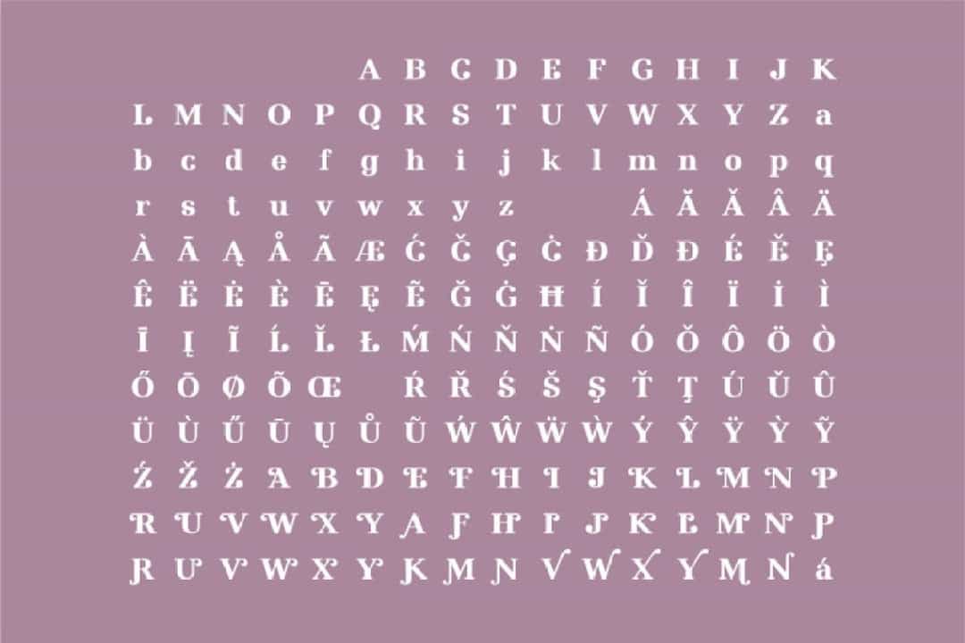 Nilad Modern Serif Typeface Image 3