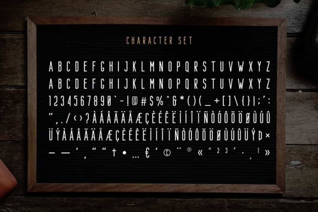 Bondie Sans Font Image 3