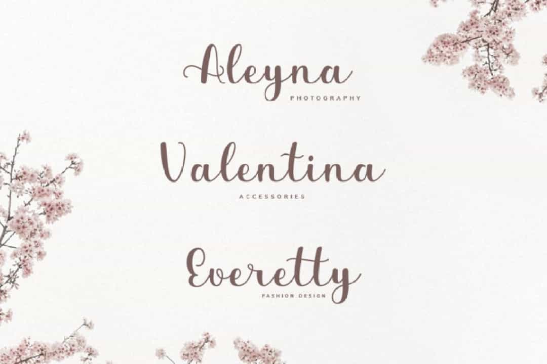 Diarylea Script Font Image 2