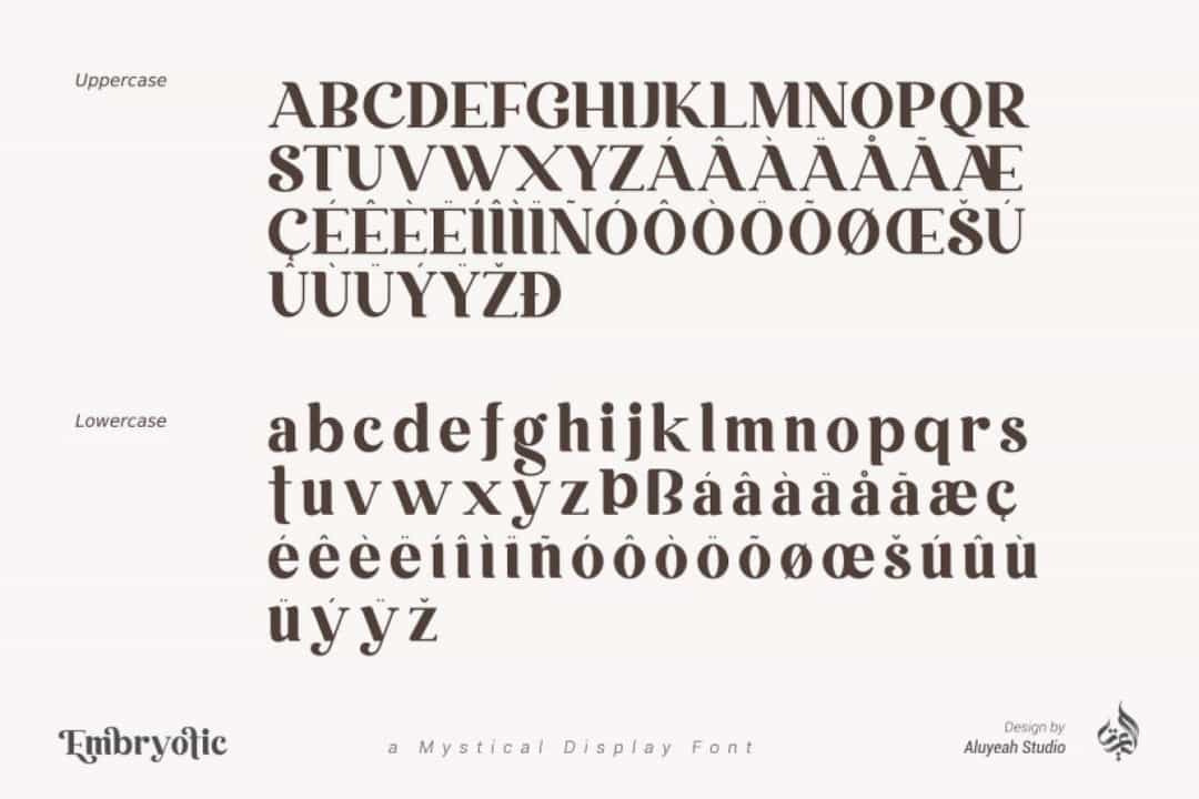 Embryotic Serif Display Font Image 3