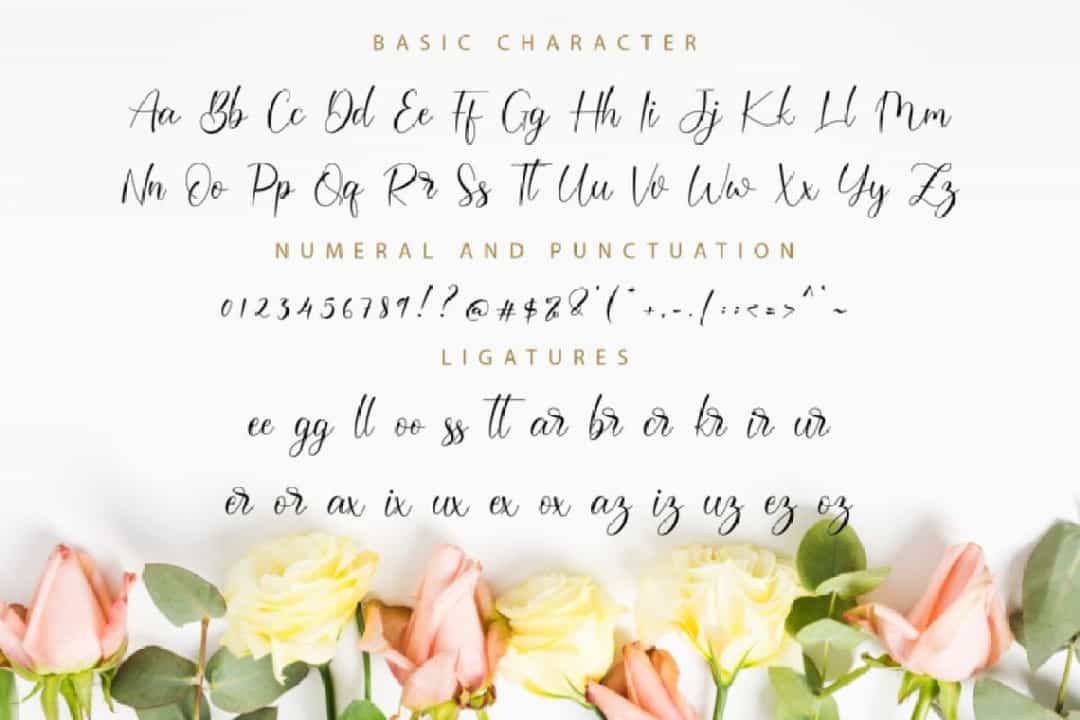 Darcella Calligraphy Script Font Image 3