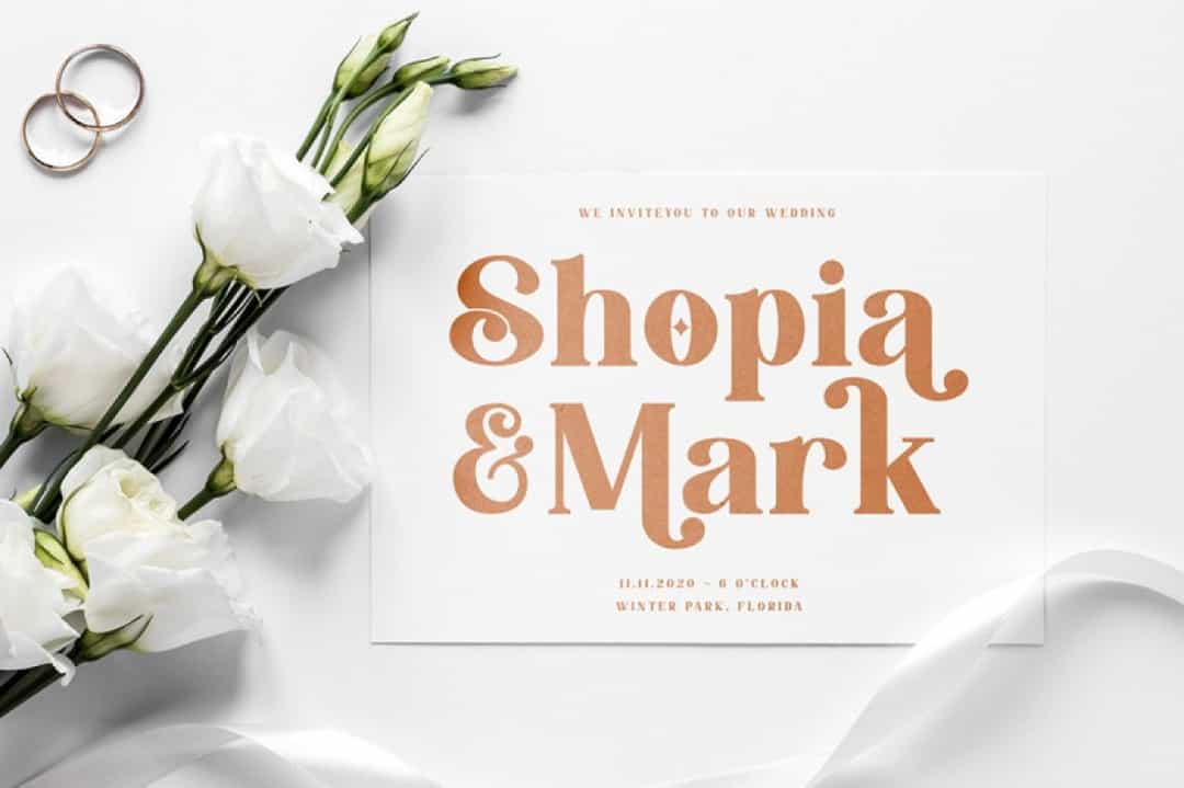 Fredella Elegant Serif Font Image 2