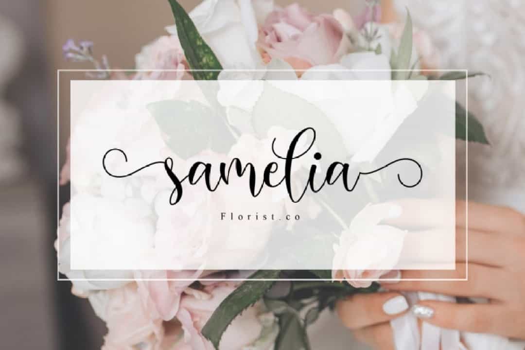 Melisha Modern Calligraphy Script Font Image 2
