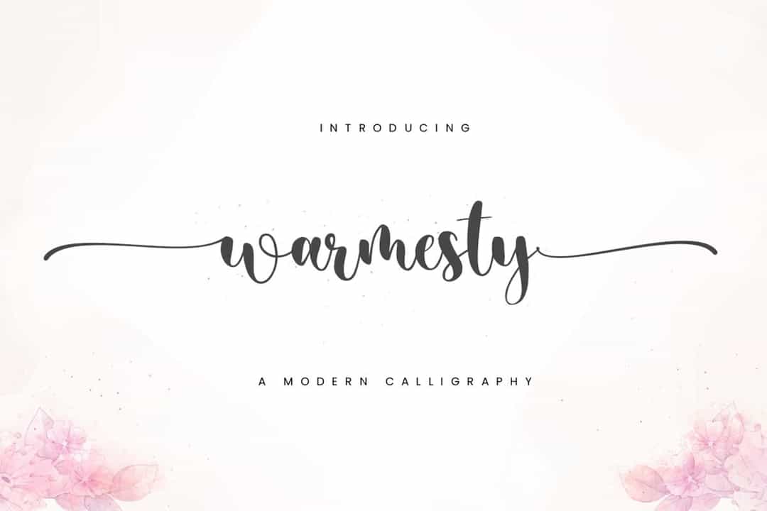 Warmesty Modern Calligraphy Font Image 1