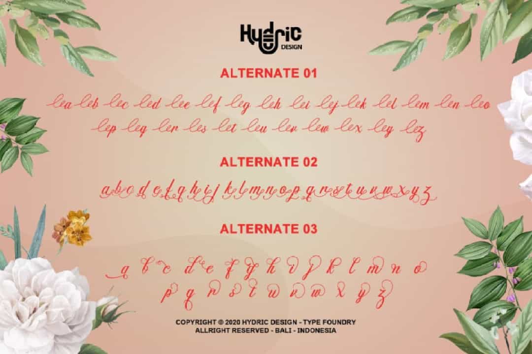 Dellancy Calligraphy Script Font Image 3
