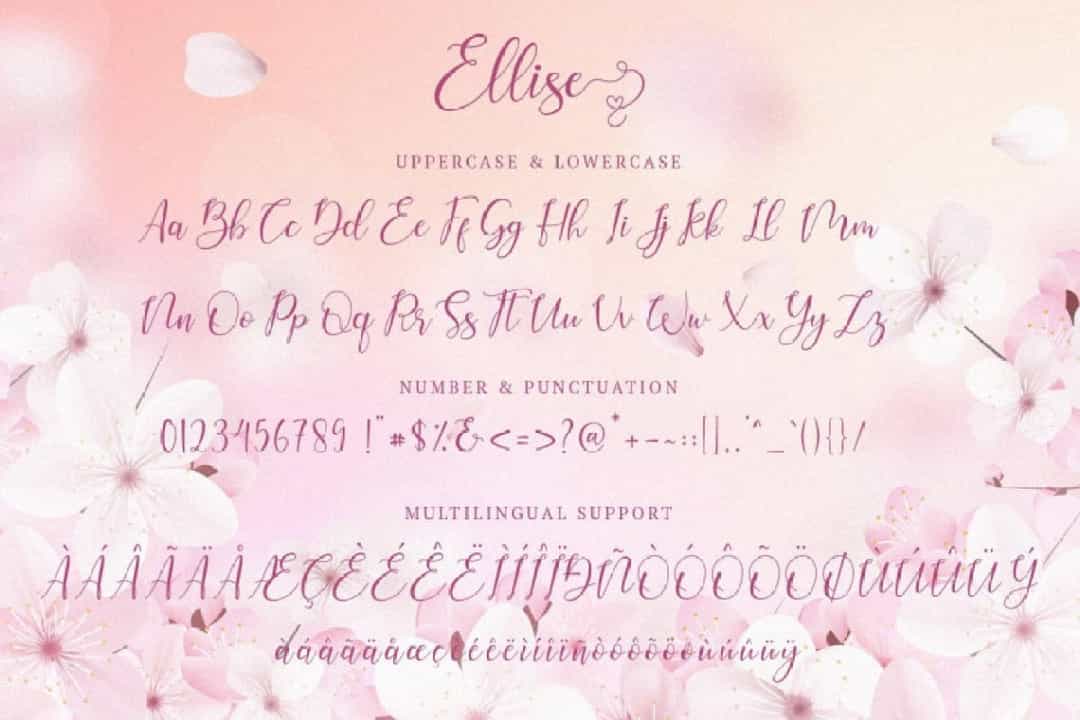 Ellise Calligraphy Script Font Image 3