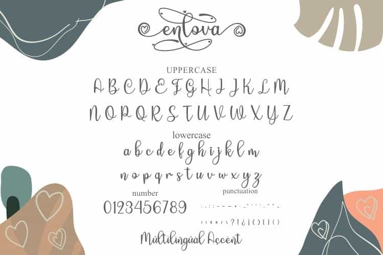 Enlova Modern Calligraphy Script Font Image 3
