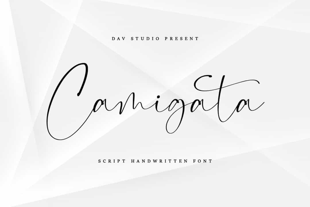 Camigata Handwritten Signature Font Image 1
