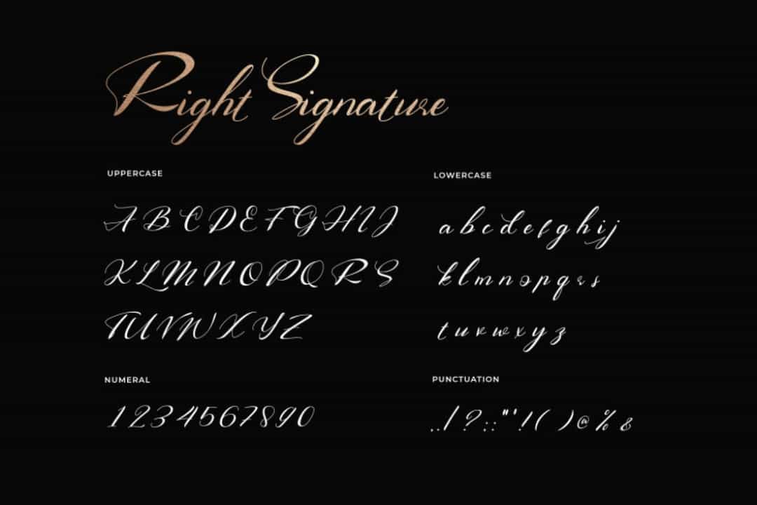 Right Signature Script Font Image 3