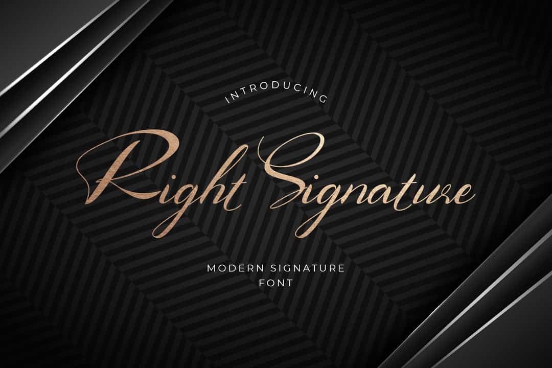 Right Signature Script Font Image 4