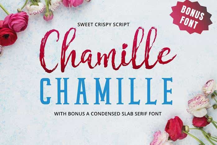 Chamille Font Duo Image 1