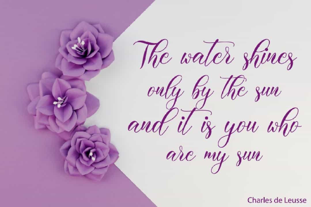 Darelina Calligraphy Script Font Image 2