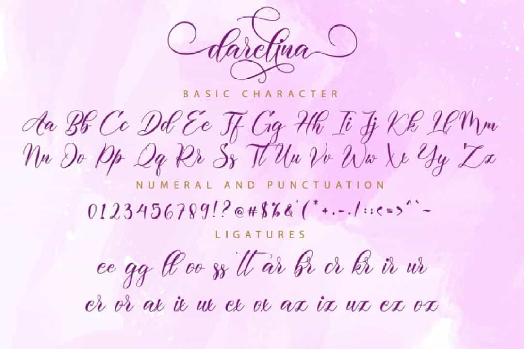 Darelina Calligraphy Script Font Image 3