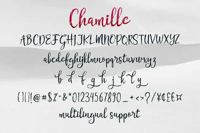 Chamille Font Duo Image 2