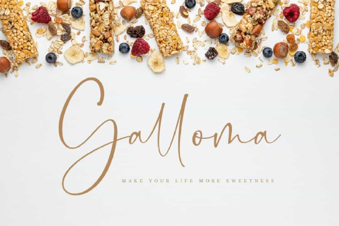 Dollamin Handwritten Script Font Image 2