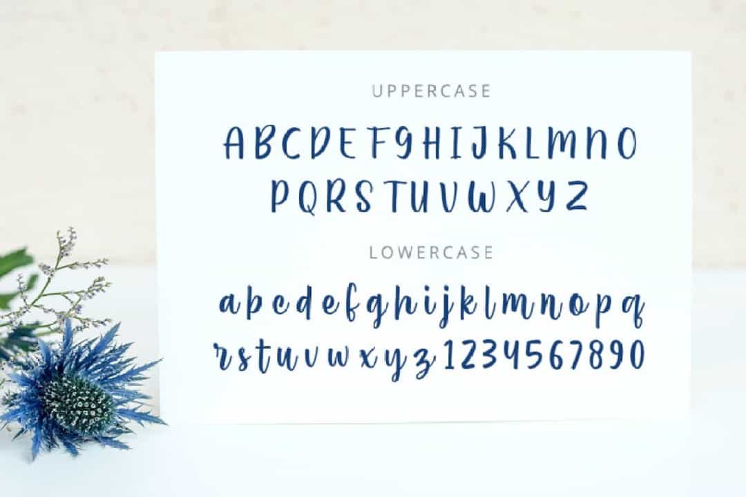 Amatemora Handwritten Script Font Image 3