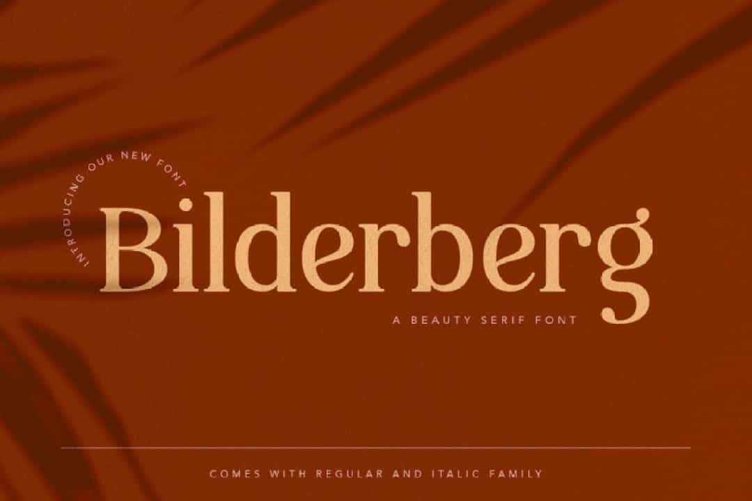 Bilderberg Beauty Serif Font Image 4