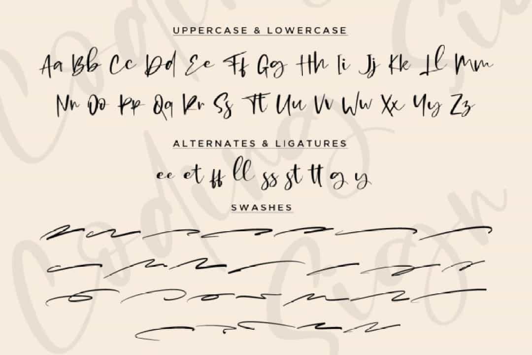 Coding Sign Handwritten Bounce Script Font Image 6