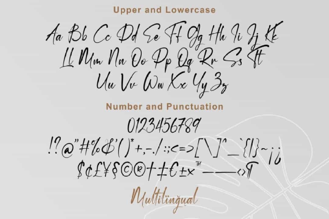 Destoria Handwritten Script Font Image 3
