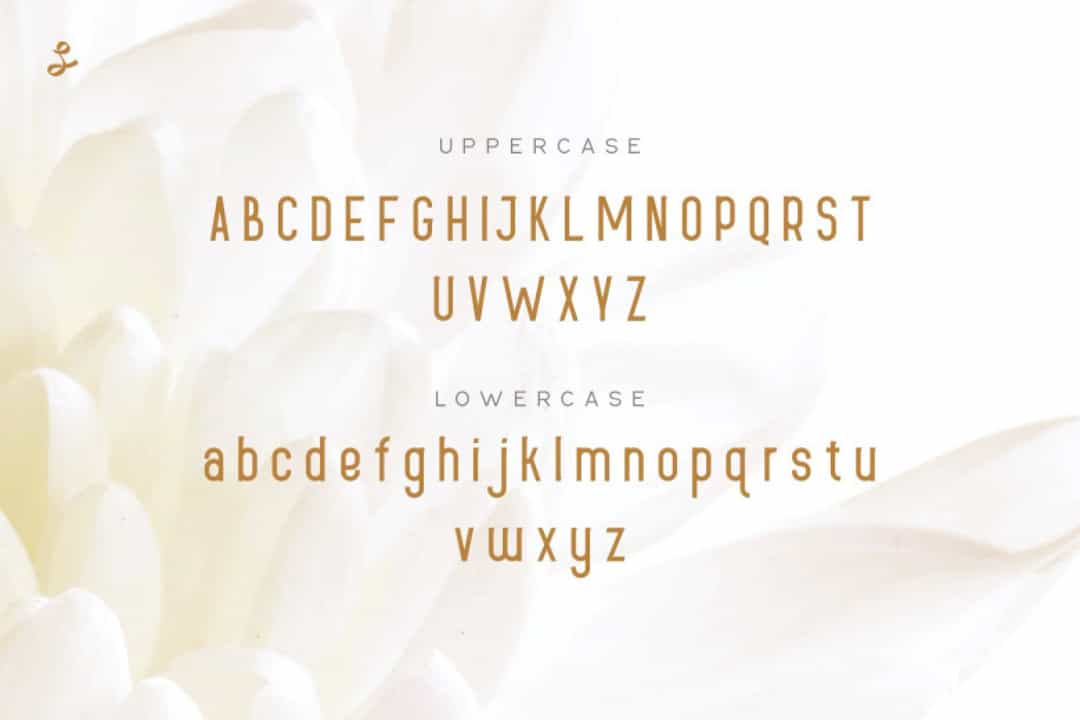 Lueue Sans Serif Font Image 2