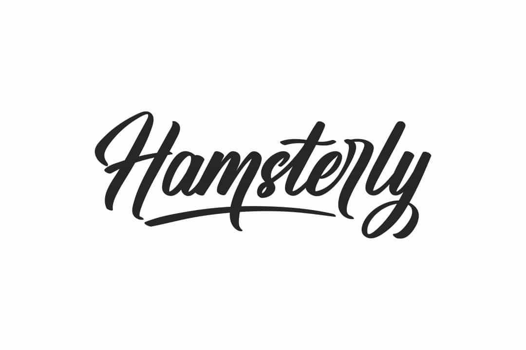 Hamsterly Script Font Image 1