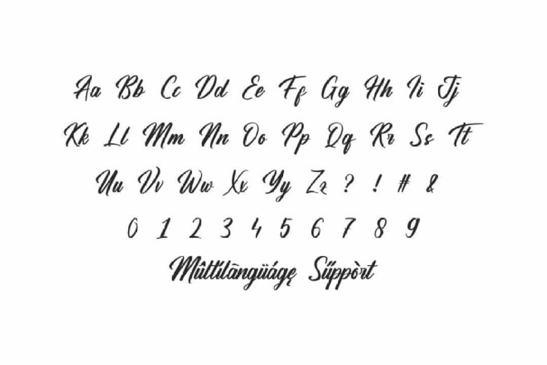 Hamsterly Script Font Image 3