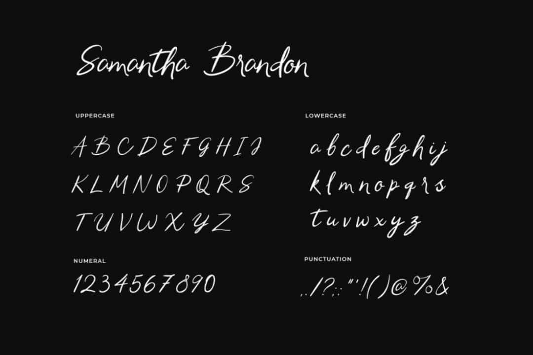 Samantha Brandon Handwritten Font Image 3