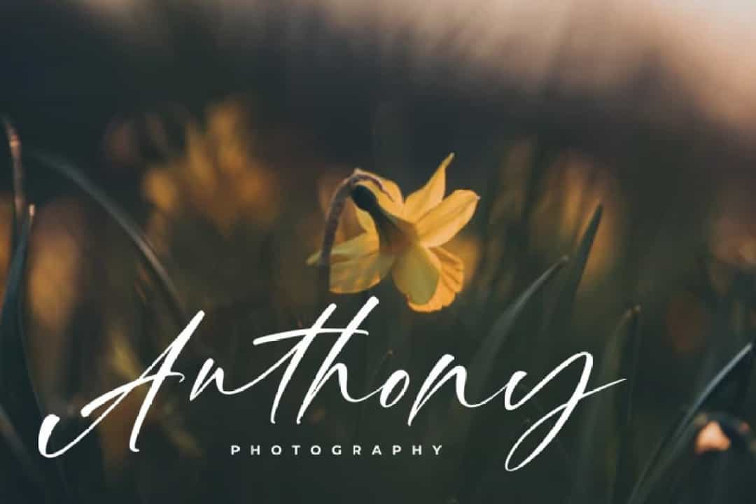 Gilliany Signature Script Font Image 2