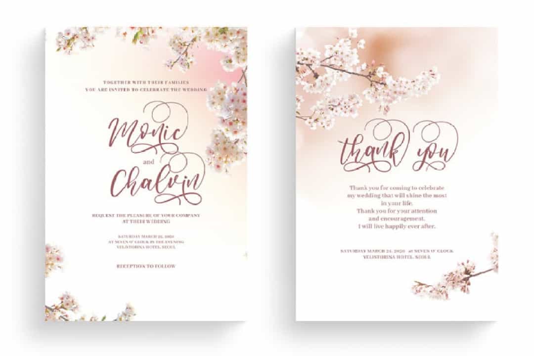 Anandya Calligraphy Script Font Image 2