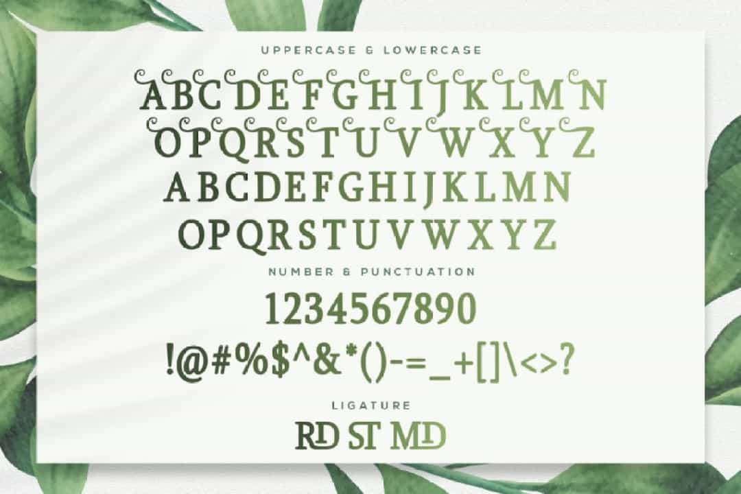 Girdens Decorative Serif Font Image 3
