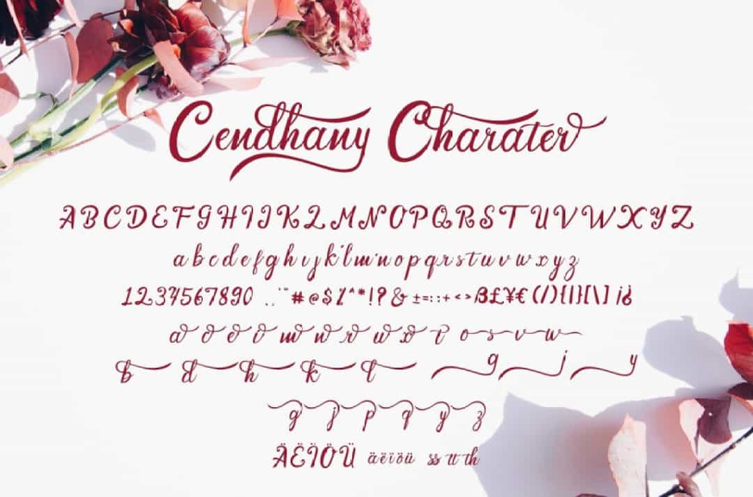 Cendhany Typeface Image 3
