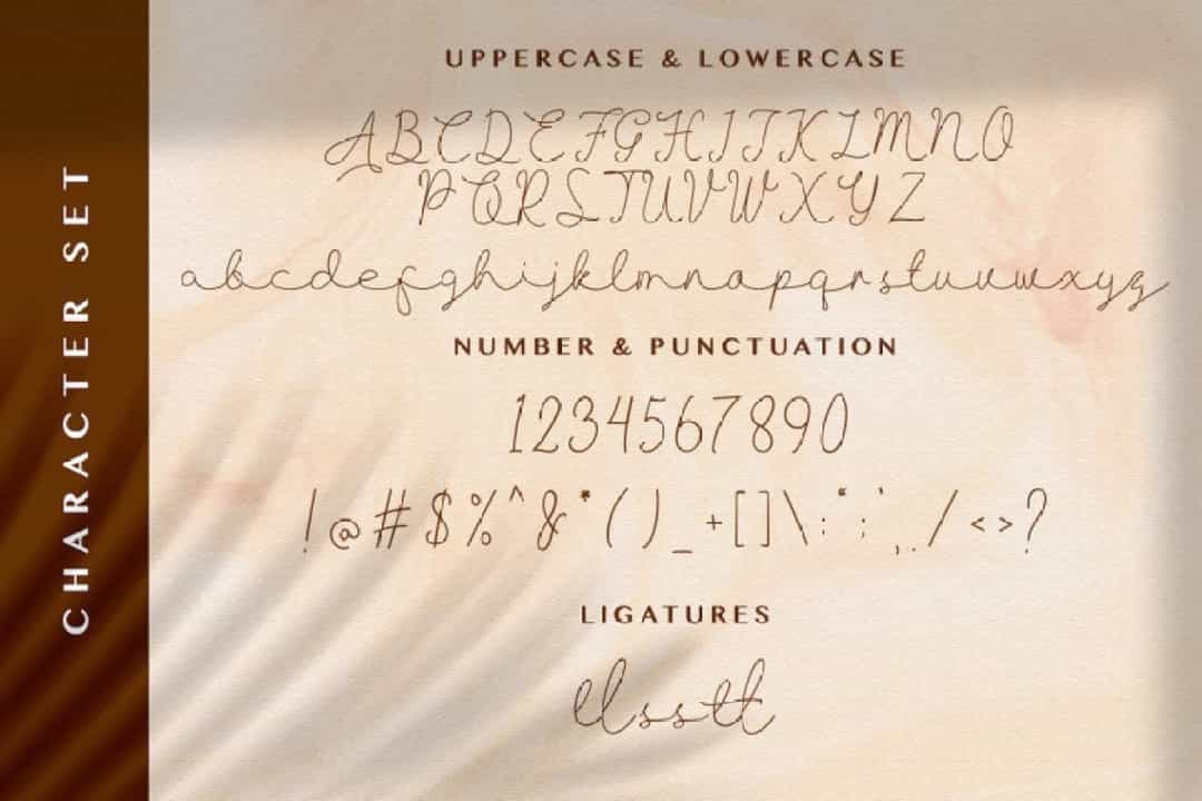 Allise Signature Script Font Image 3