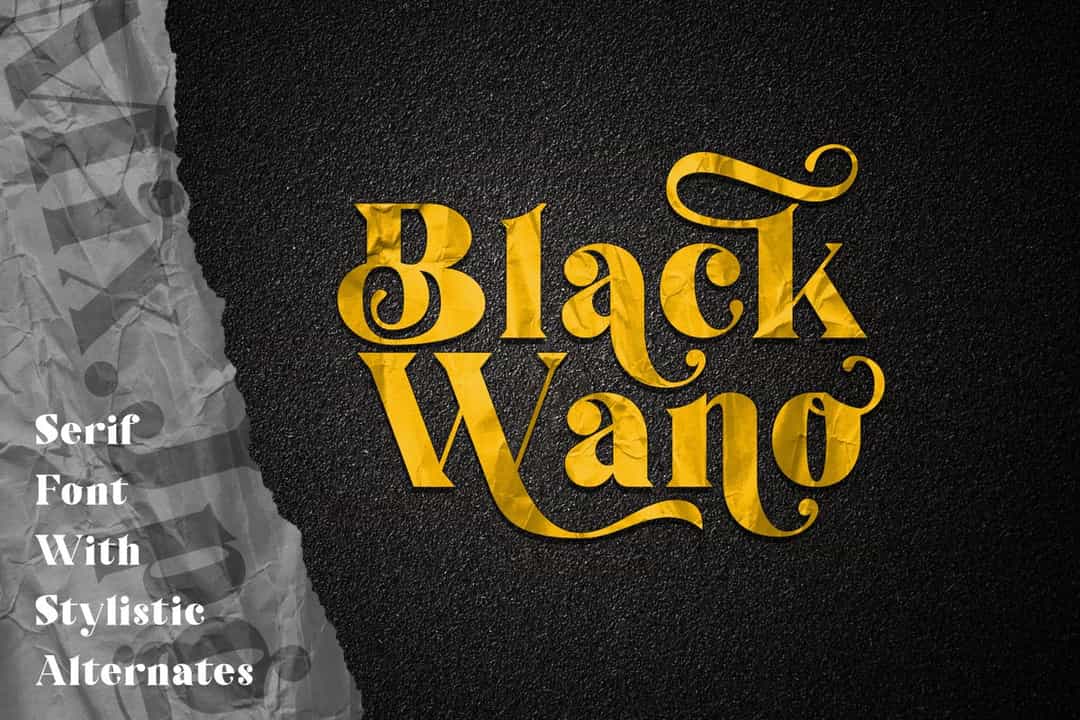 Black Wano Serif Typeface Image 1