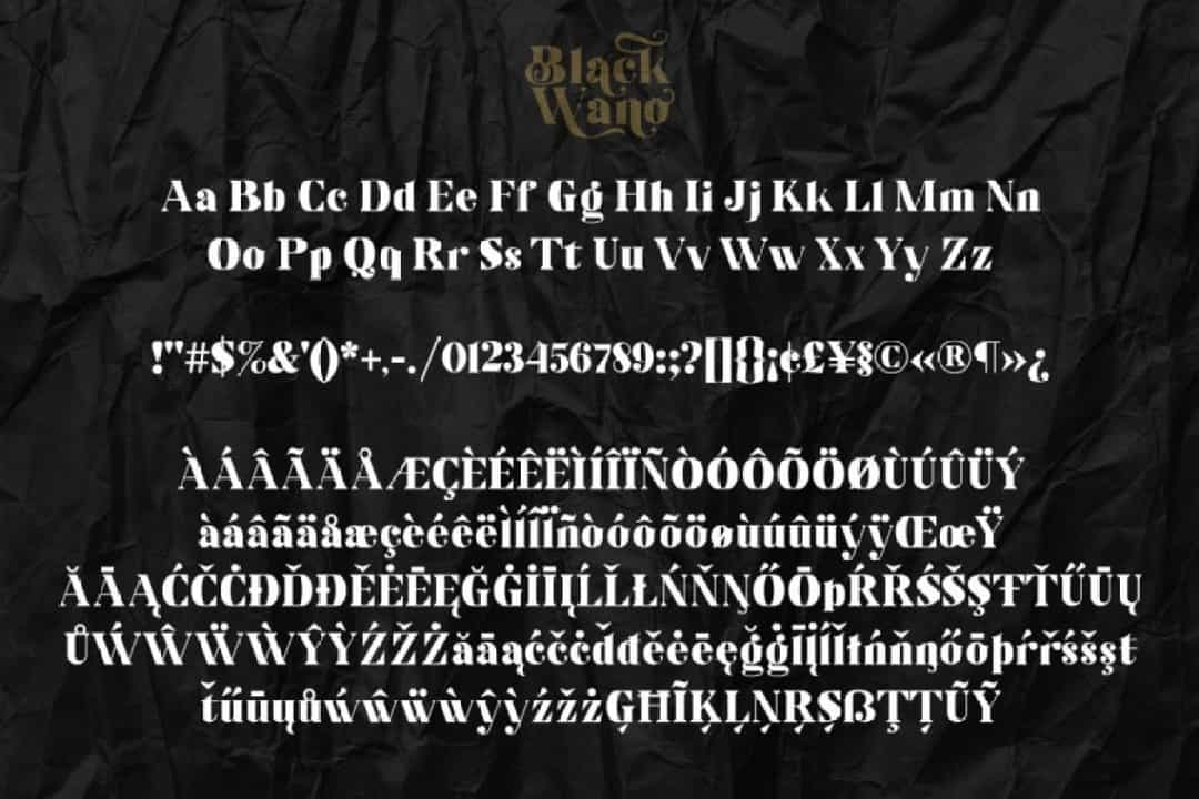 Black Wano Serif Typeface Image 3