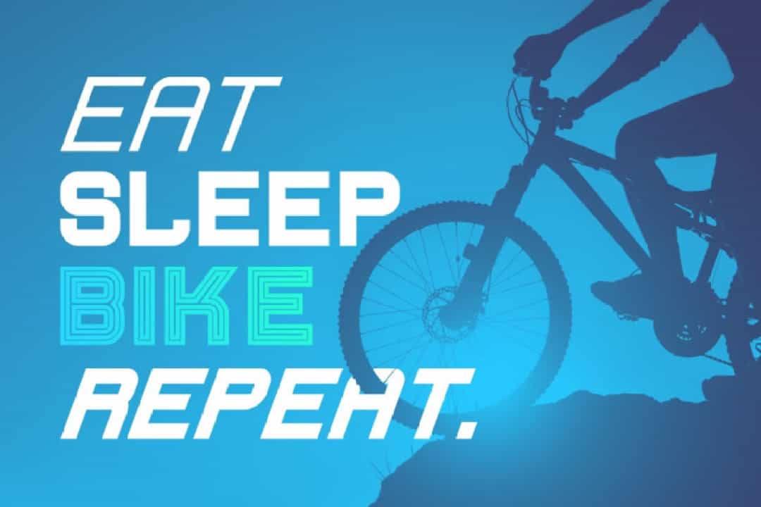 Fearcheer Sans Display Font Family Image 2