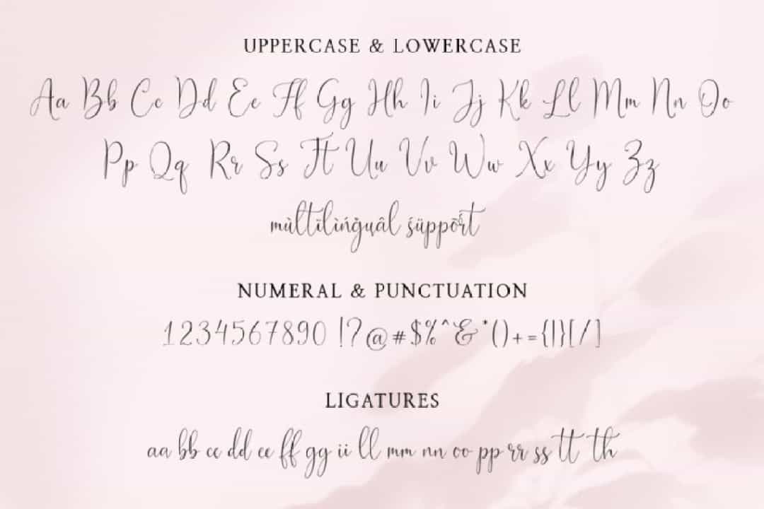 Joseph Olivia Calligraphy Script Font Image 3