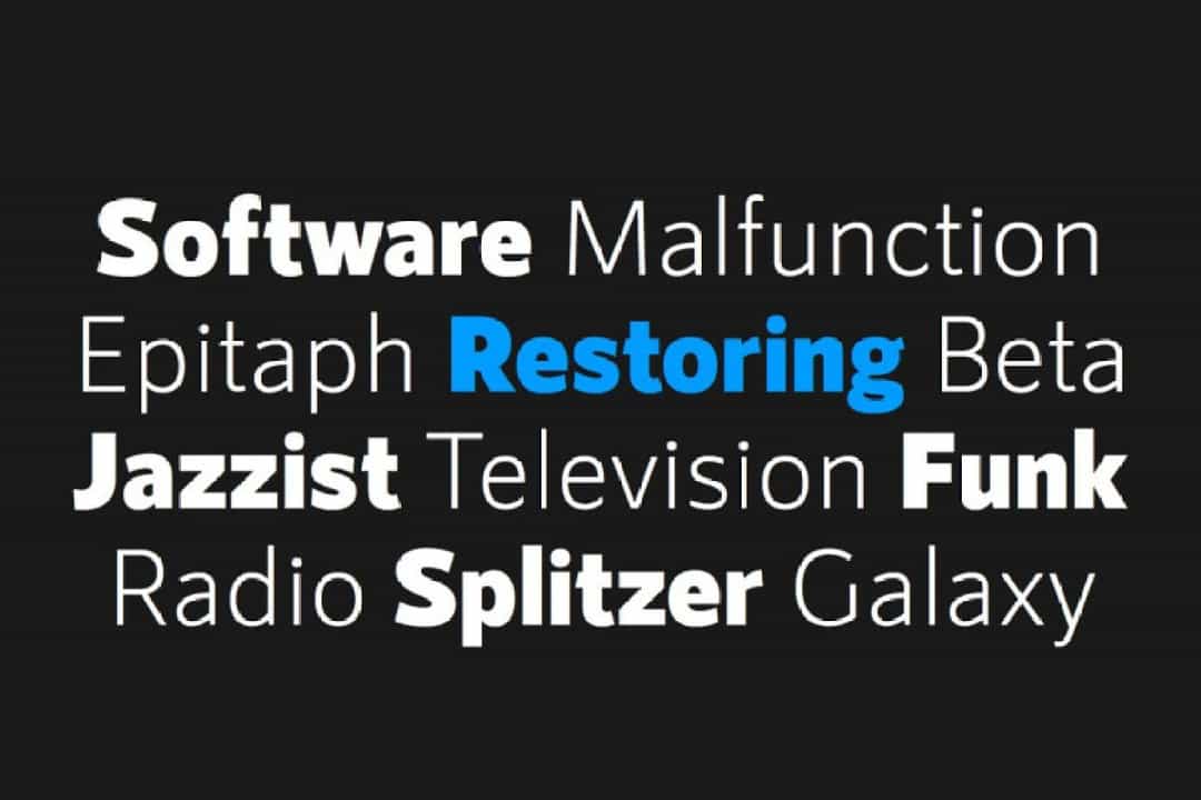 RNS Sanz Sans Typeface Family Image 2