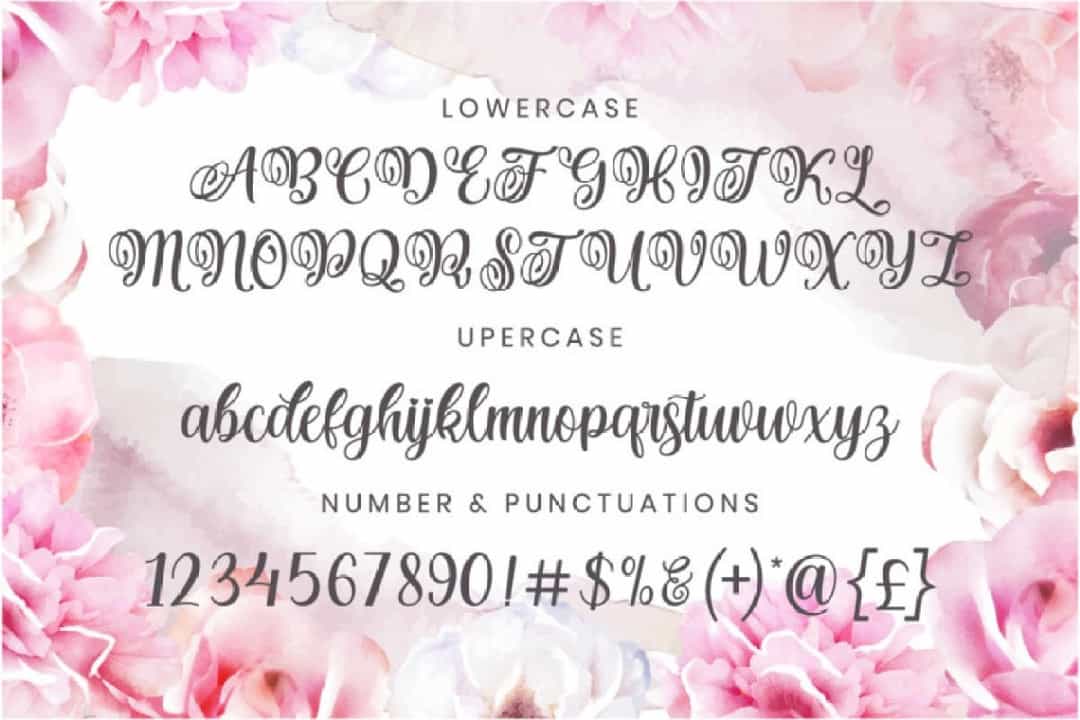 Hanitha Font Image 3