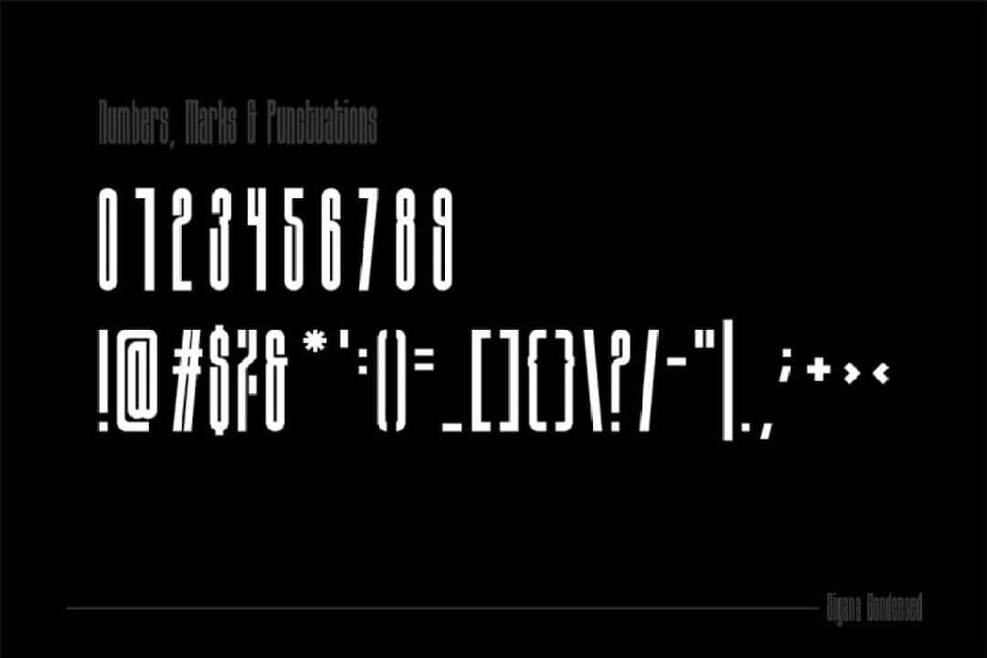 Sigana Display Sans Font Image 3