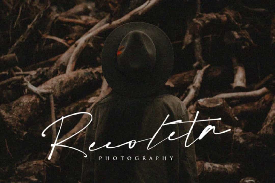 Boldris Signature Script Font Image 2