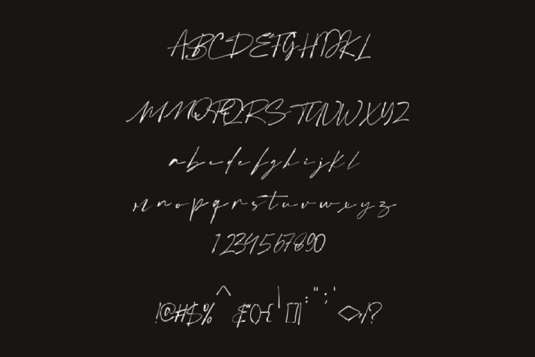 Boldris Signature Script Font Image 3