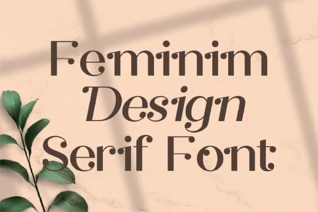 Safira Modern Feminine Serif Font Image 2